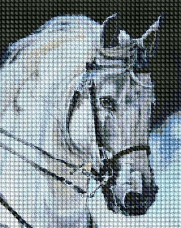 Diamond Painting - Stolzes Pferd
