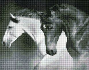 Diamond Painting - Schwarz-weiße Kraft