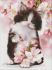 Diamond mosaic - Fluffy kitten