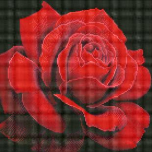 Diamond Painting - Roter Rose ©annasteshka