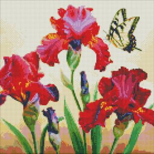 Diamond Painting - Auserlesener Iris mit holografischen Strasssteinen (AB) ©annasteshka