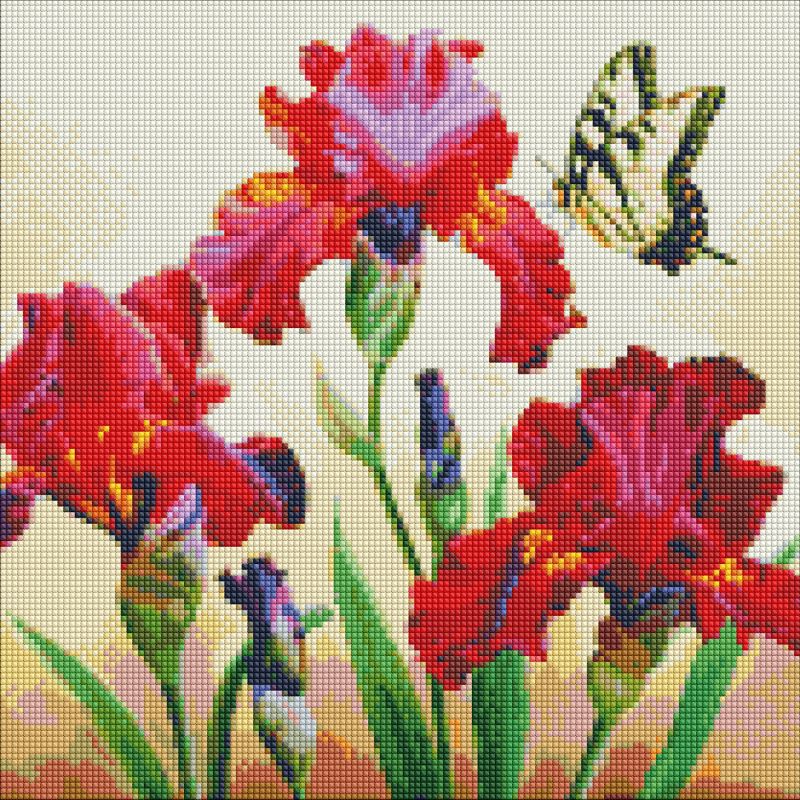 Diamond Painting - Auserlesener Iris mit holografischen Strasssteinen (AB) ©annasteshka