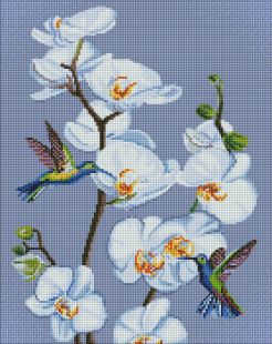 Diamond Painting - Blühende Orchideen mit holografischen Strasssteinen (AB) ©annasteshka