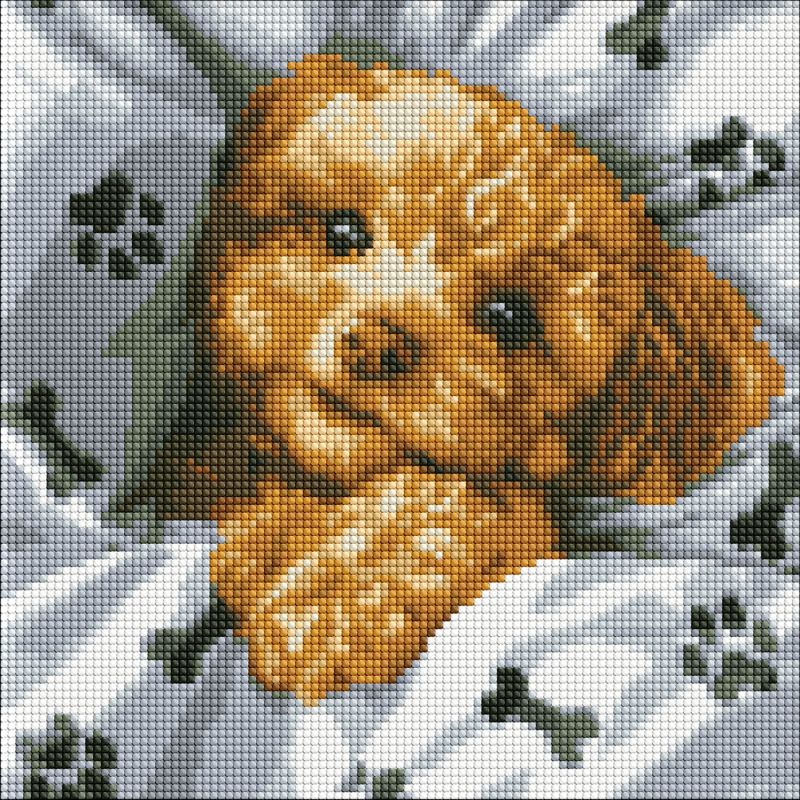 Diamond Painting ohne Rahmen - Niedlicher Maltipoo ©art_selena_ua