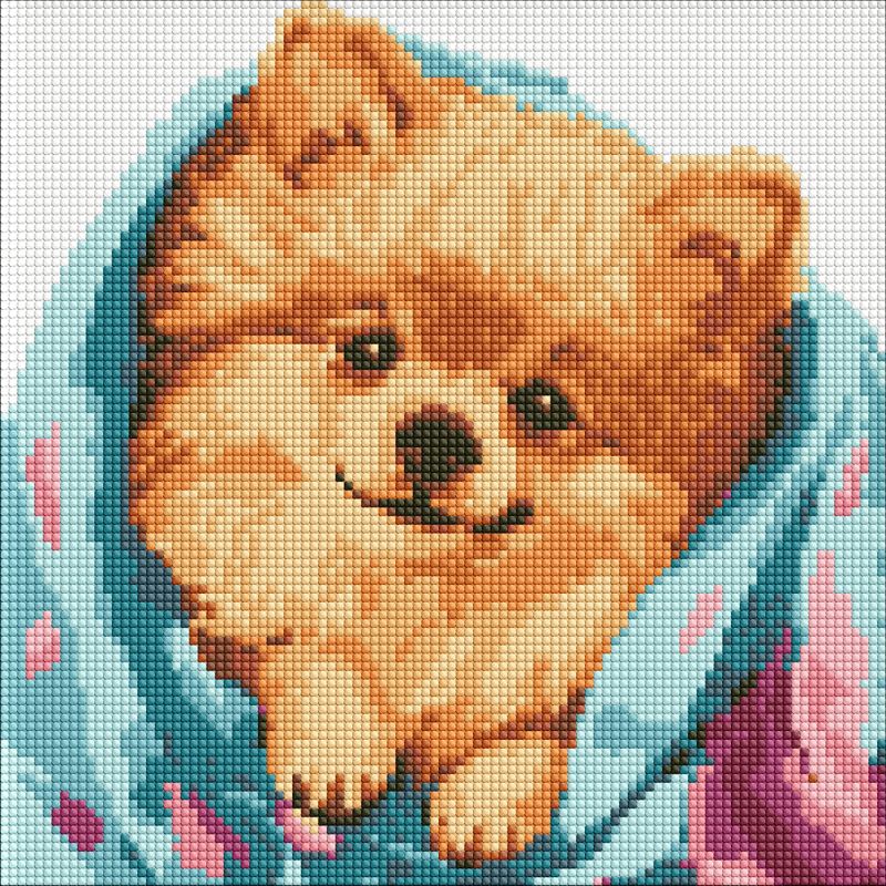 Diamond Painting - Glücklicher Spitz ©art_selena_ua