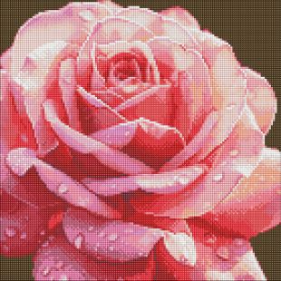 Diamond Painting ohne Rahmen - Perfekte Rose ©art_selena_ua