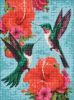 Diamond Painting ohne Rahmen - Smaragdfarbene Kolibris ©art_selena_ua