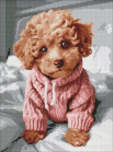 Diamond Painting ohne Rahmen - Ein bezaubernder Maltipoo ©art_selena_ua