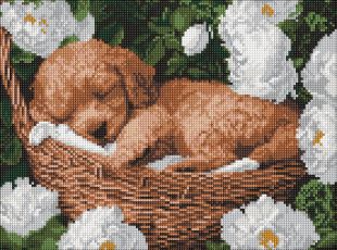 Diamond Painting - Ein schlafender Pudel ©art_selena_ua