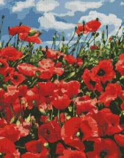 Diamond Painting - Erstaunliche Mohnblumen